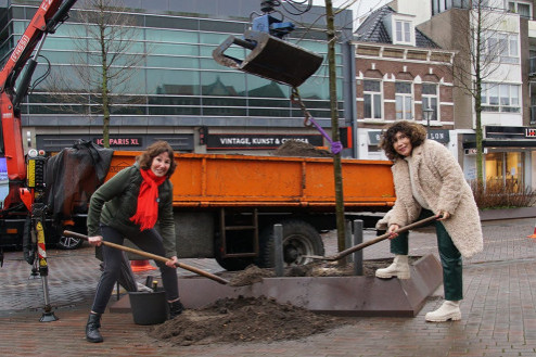 De nazaat van de 100 jarige Velserweg iep komt thuis. Jaqueline Dorenbos mocht samen met de wethouder de iep planten, aangezien zij zich hier jaren voor hard heeft gemaakt.